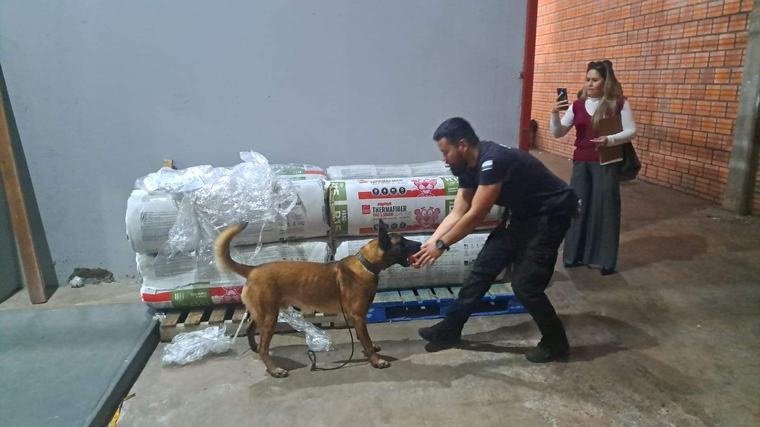 Indagan red de tráfico internacional tras incautación de marihuana VIP proveniente de EE.UU.