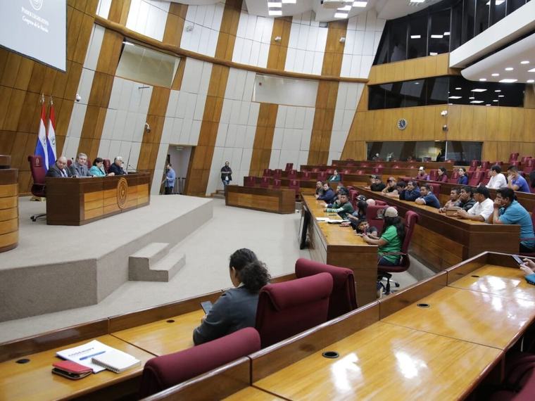 Senado trata hoy 15 puntos en sesión ordinaria