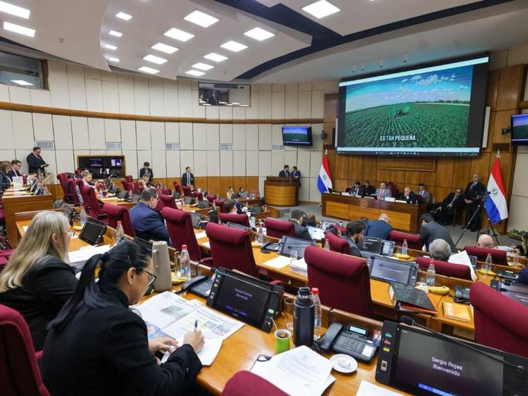 Senado integra comisión que investigará al IPS