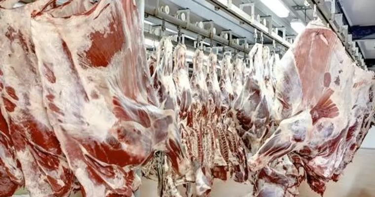Exportaciones de origen animal superan los USD 1.600 millones