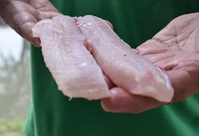 Buscan impulsar estrategias para potenciar la piscicultura y aumentar el consumo de pescado