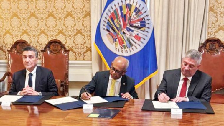 Observadores de la OEA estarán en las municipales