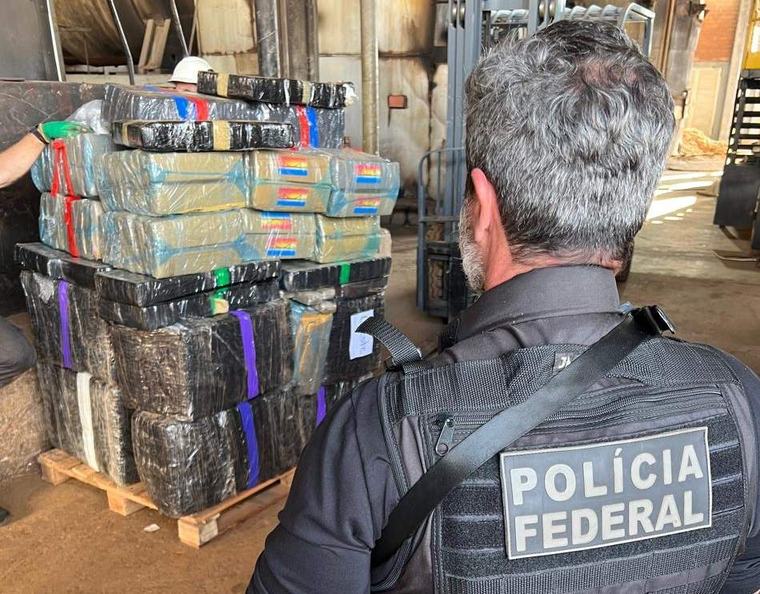 Narcotráfico en la Triple Frontera: destruyen más de 11 toneladas de drogas incautadas en la región
