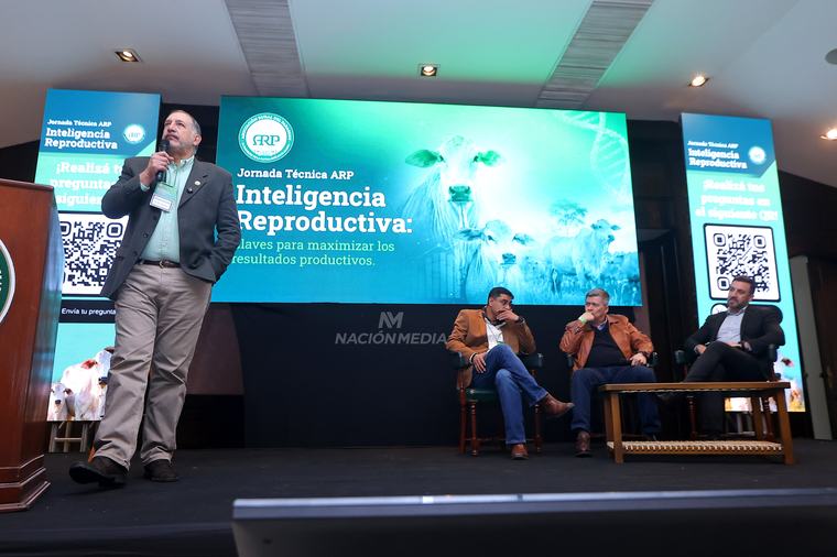 Ganaderos buscan elevar la cantidad de preñeces en el servicio ganadero 2026-2027