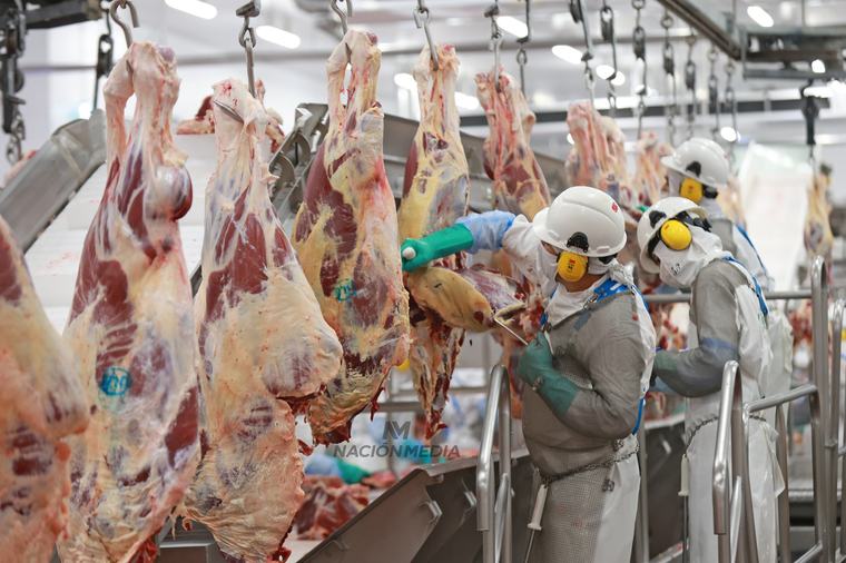 Envíos del complejo cárnico superaron los USD 1.600 millones al cierre de agosto