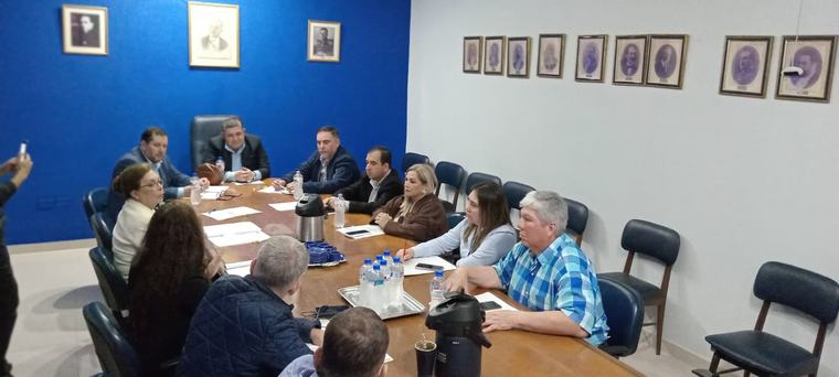 Crisis en Salud: cúpula del PLRA responsabiliza a Peña y exige destitución de Barán