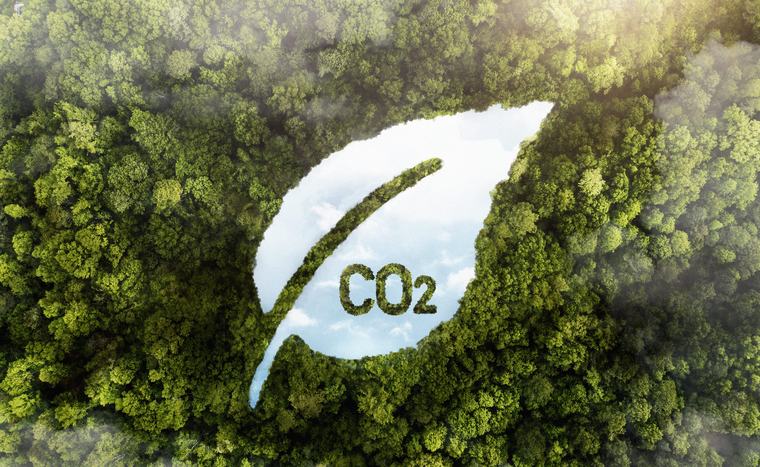 Paraguay avanza en la creación de un mercado de carbono con potencial para atraer inversiones