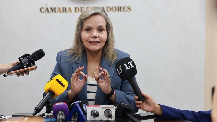Lilian pide cortar consultorías y ahorrar USD 81 millones para destinar a piso salarial médico