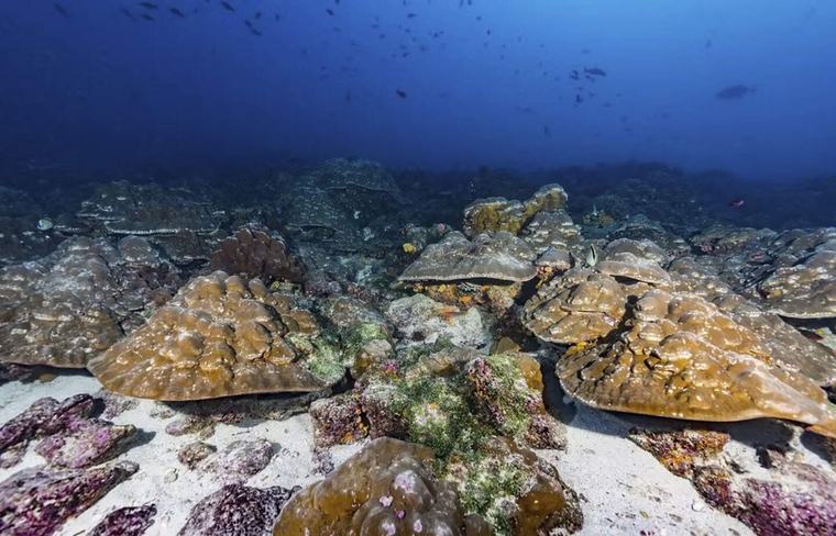 El Niño es hoy un 37 % más intenso por efecto del cambio climático