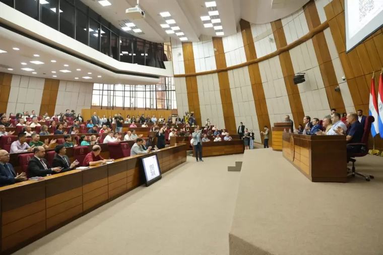 Seguros, combustibles y pagarés marcan la agenda del Senado