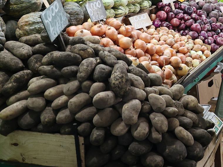 El Gobierno frena la importación de papa y cebolla para blindar la cosecha local